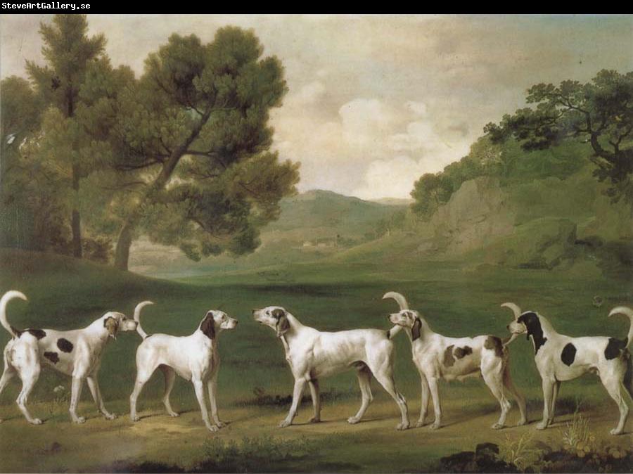 George Stubbs Some Dogs